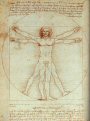Leonardo. Proportions of Man.jpg