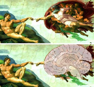 FL Mershberger (1990). Una intepretazione della Creazione di Michelangelo basata sulla neuroanatomia.