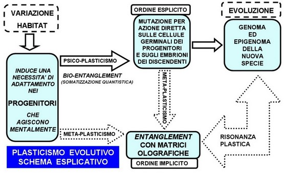 Plasticismo Evolutivo schema